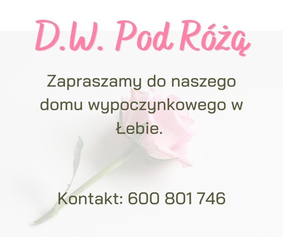 Pod Roza Panzió Łeba Kültér fotó